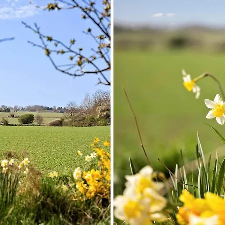 Hébergement de vacances Ae311-aeroskobing-hanses-ager-11 *