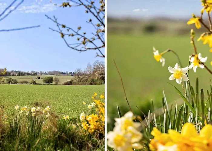 Feriehus Ae311-aeroskobing-hanses-ager-11 *